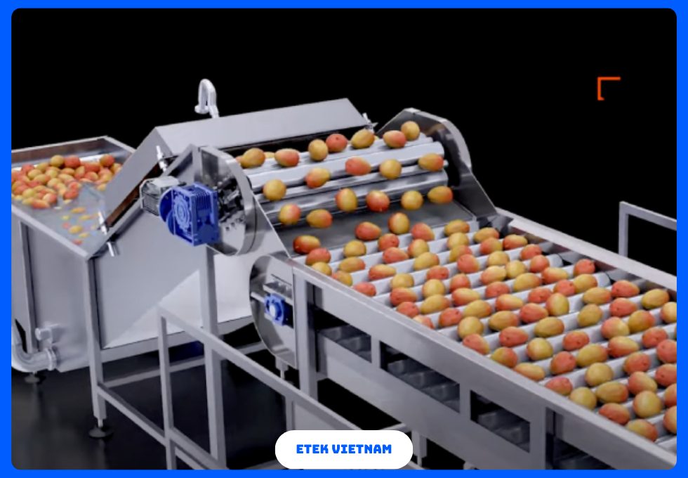 DÂY CHUYỀN CHẾ BIẾN NƯỚC ÉP TRÁI CÂY VÀ TRÀ ĐÓNG CHAI