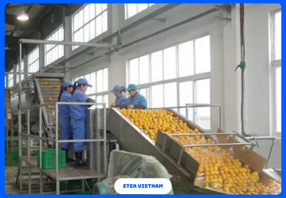 DÂY CHUYỀN CHẾ BIẾN NƯỚC ÉP TRÁI CÂY VÀ TRÀ ĐÓNG CHAI