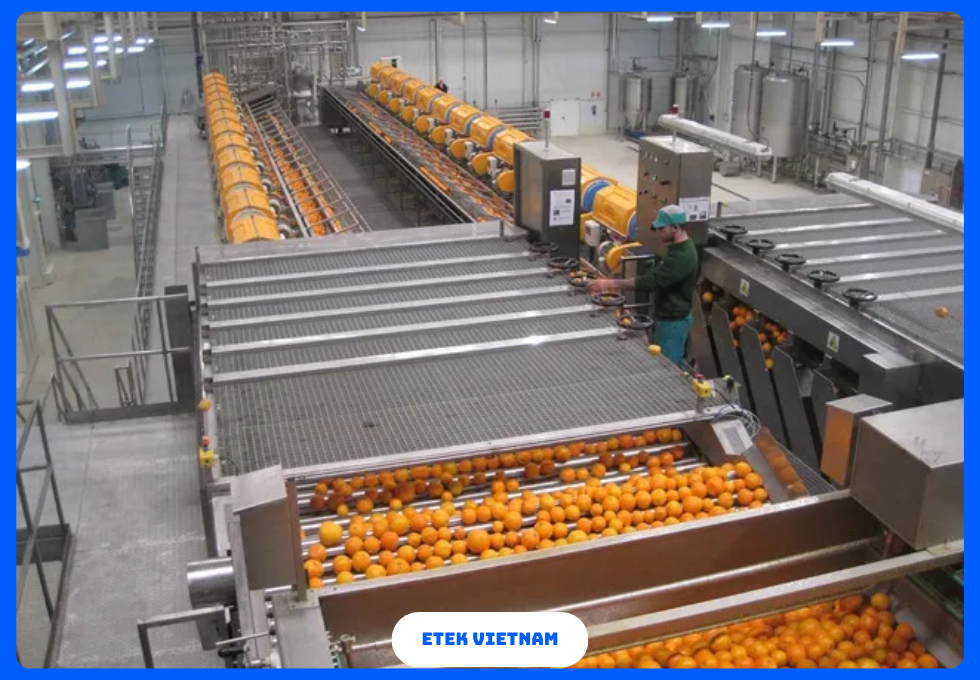 DÂY CHUYỀN CHẾ BIẾN NƯỚC ÉP TRÁI CÂY VÀ TRÀ ĐÓNG CHAI