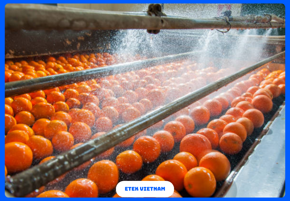 DÂY CHUYỀN CHẾ BIẾN NƯỚC ÉP TRÁI CÂY VÀ TRÀ ĐÓNG CHAI