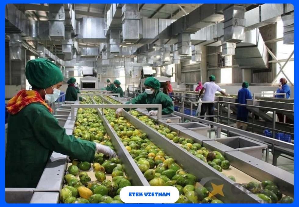 DÂY CHUYỀN CHẾ BIẾN NƯỚC ÉP TRÁI CÂY VÀ TRÀ ĐÓNG CHAI