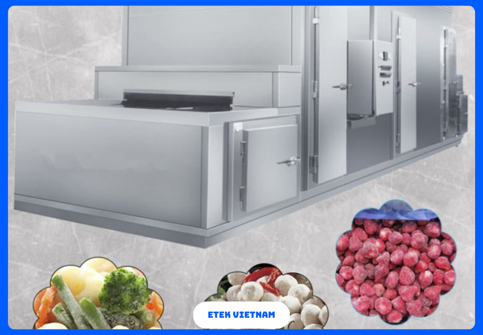 DÂY CHUYỀN ĐÔNG LẠNH RAU CỦ IQF