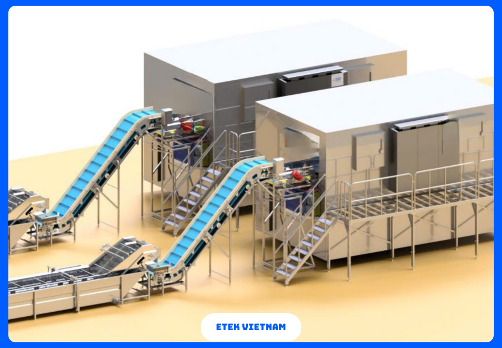 DÂY CHUYỀN ĐÔNG LẠNH RAU CỦ IQF