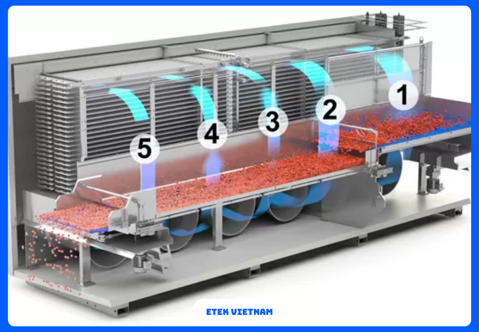 DÂY CHUYỀN ĐÔNG LẠNH RAU CỦ IQF