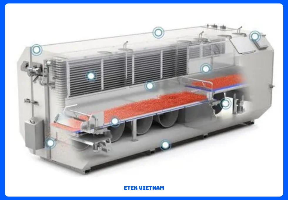 DÂY CHUYỀN ĐÔNG LẠNH RAU CỦ IQF