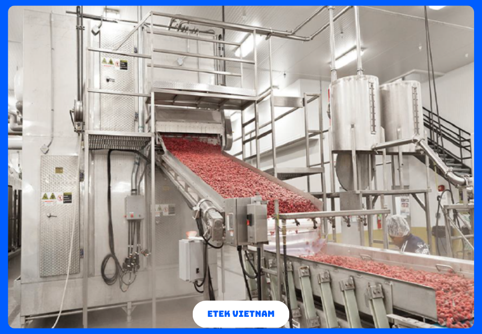DÂY CHUYỀN ĐÔNG LẠNH RAU CỦ IQF