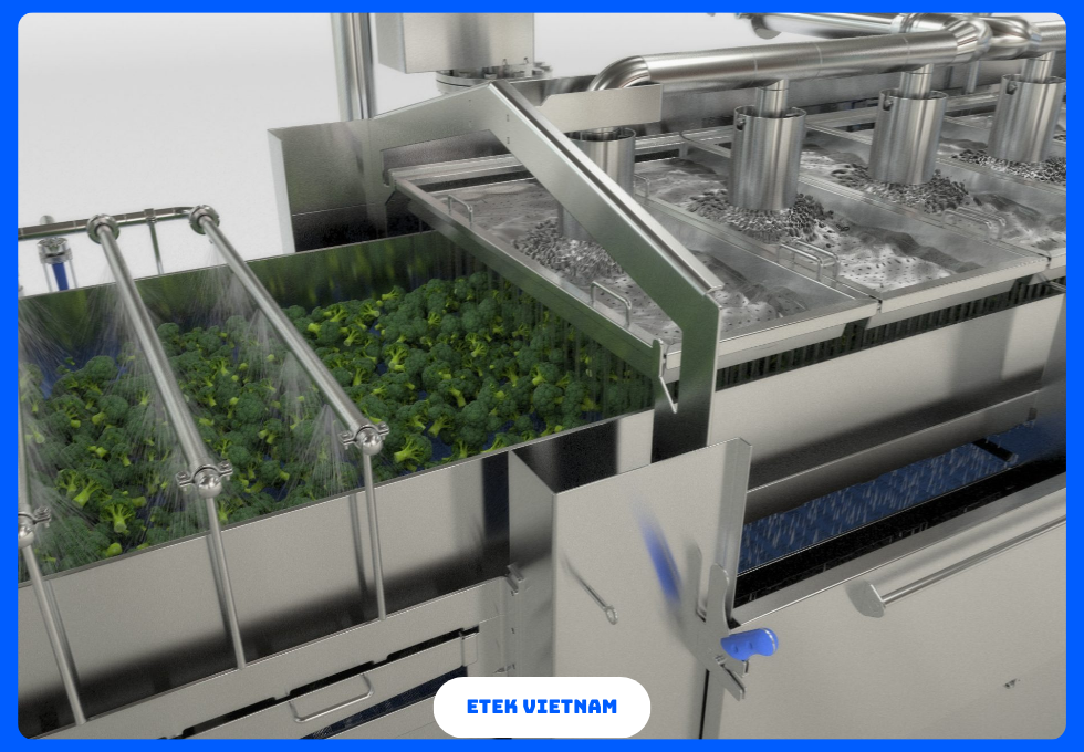 DÂY CHUYỀN ĐÔNG LẠNH RAU CỦ IQF