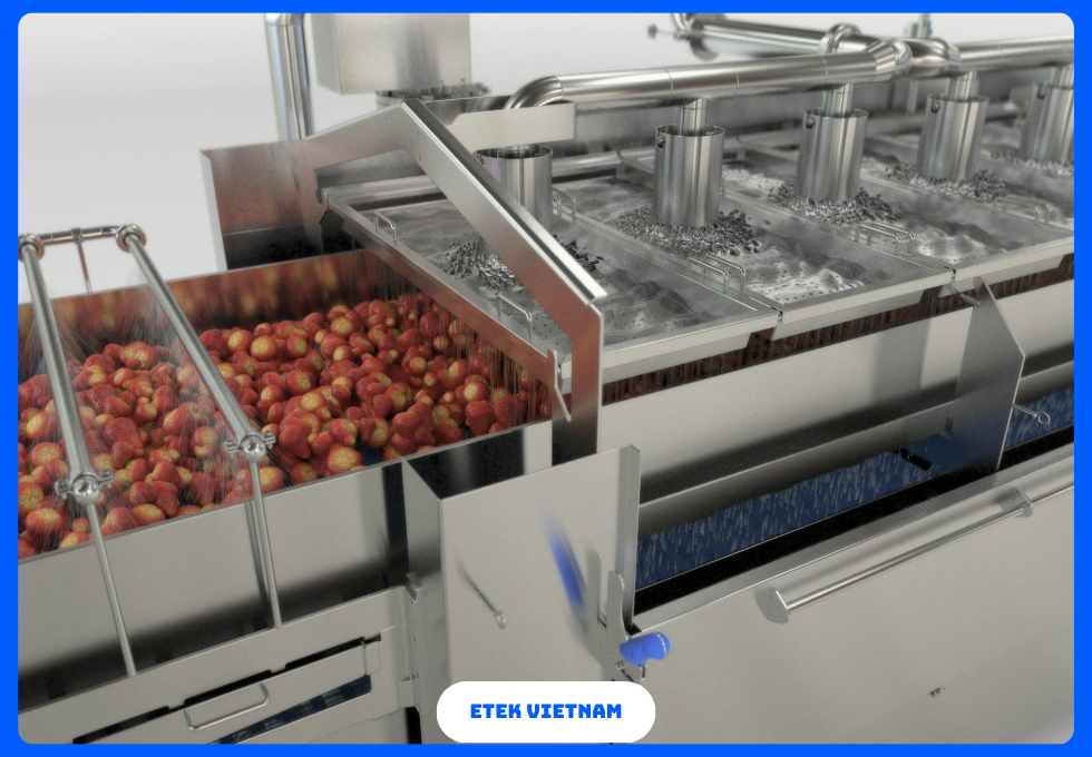 DÂY CHUYỀN ĐÔNG LẠNH RAU CỦ IQF