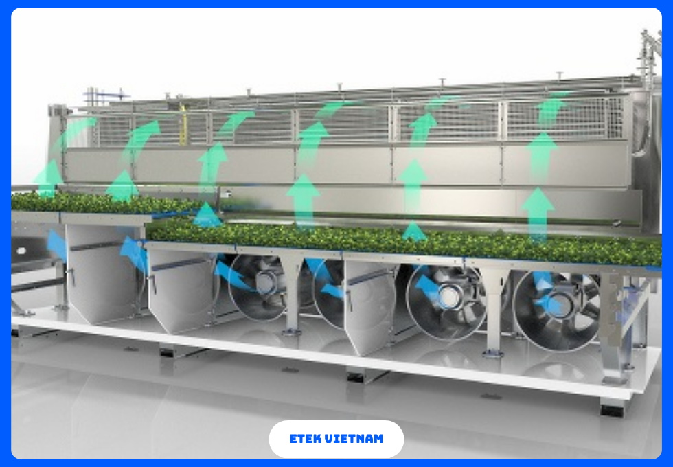 DÂY CHUYỀN ĐÔNG LẠNH RAU CỦ IQF