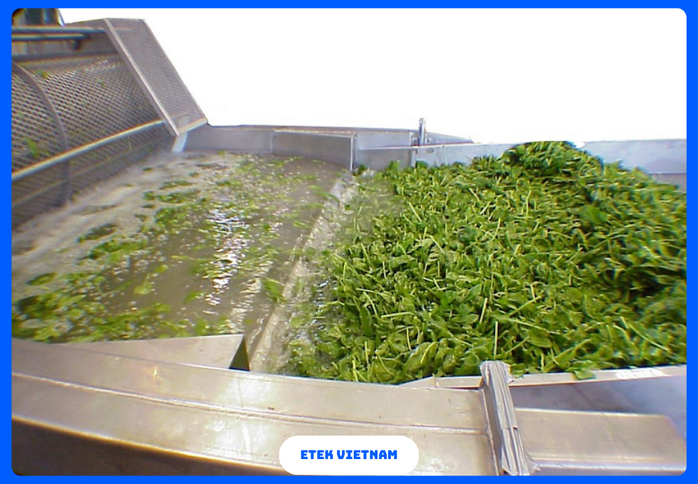 DÂY CHUYỀN RỬA PHÂN LOẠI CẮT GỌT RAU CỦ QUẢ
