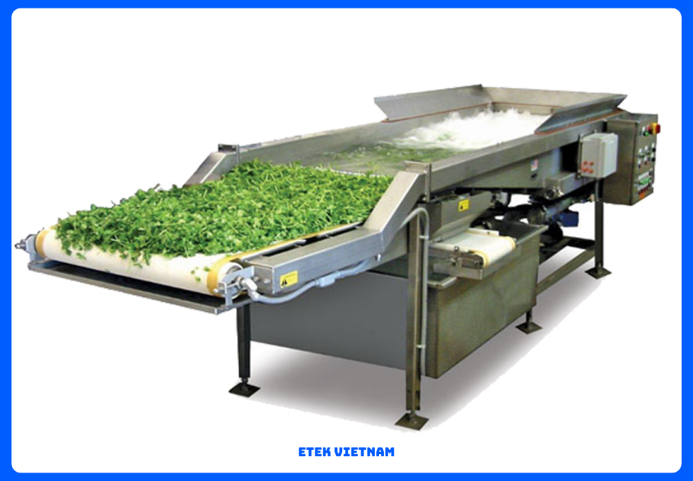 DÂY CHUYỀN RỬA PHÂN LOẠI CẮT GỌT RAU CỦ QUẢ