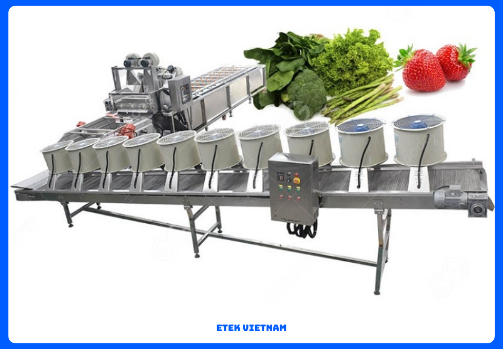DÂY CHUYỀN RỬA PHÂN LOẠI CẮT GỌT RAU CỦ QUẢ