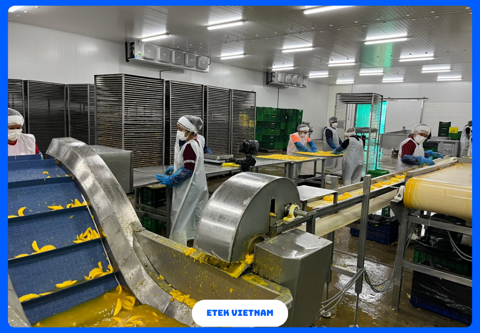 DÂY CHUYỀN SẢN XUẤT HOA QUẢ SẤY KHÔ SẤY DẺO
