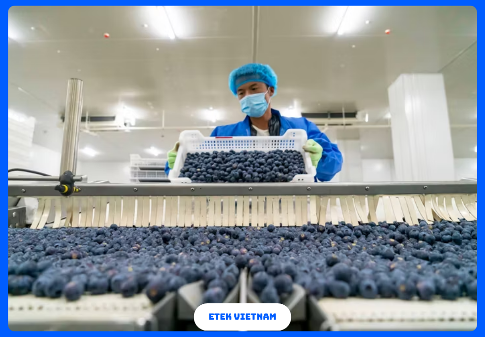 DÂY CHUYỀN SẢN XUẤT HOA QUẢ SẤY KHÔ SẤY DẺO