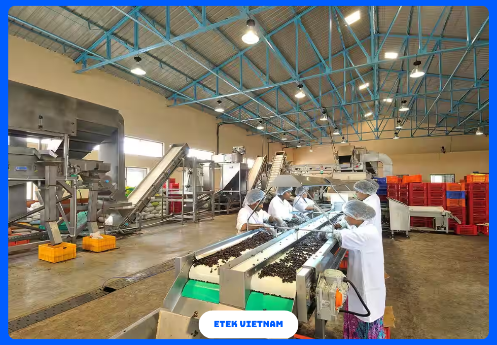 DÂY CHUYỀN SẢN XUẤT HOA QUẢ SẤY KHÔ SẤY DẺO