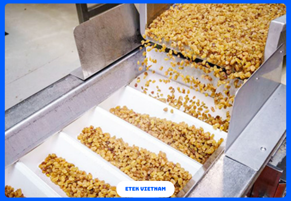 DÂY CHUYỀN SẢN XUẤT HOA QUẢ SẤY KHÔ SẤY DẺO