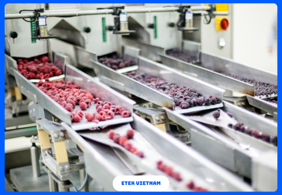 DÂY CHUYỀN SẢN XUẤT HOA QUẢ SẤY KHÔ SẤY DẺO